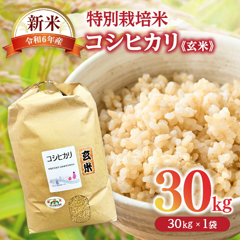 【ふるさと納税】コシヒカリ（特別栽培米）玄米 30kg（新米予約9月以降発送）