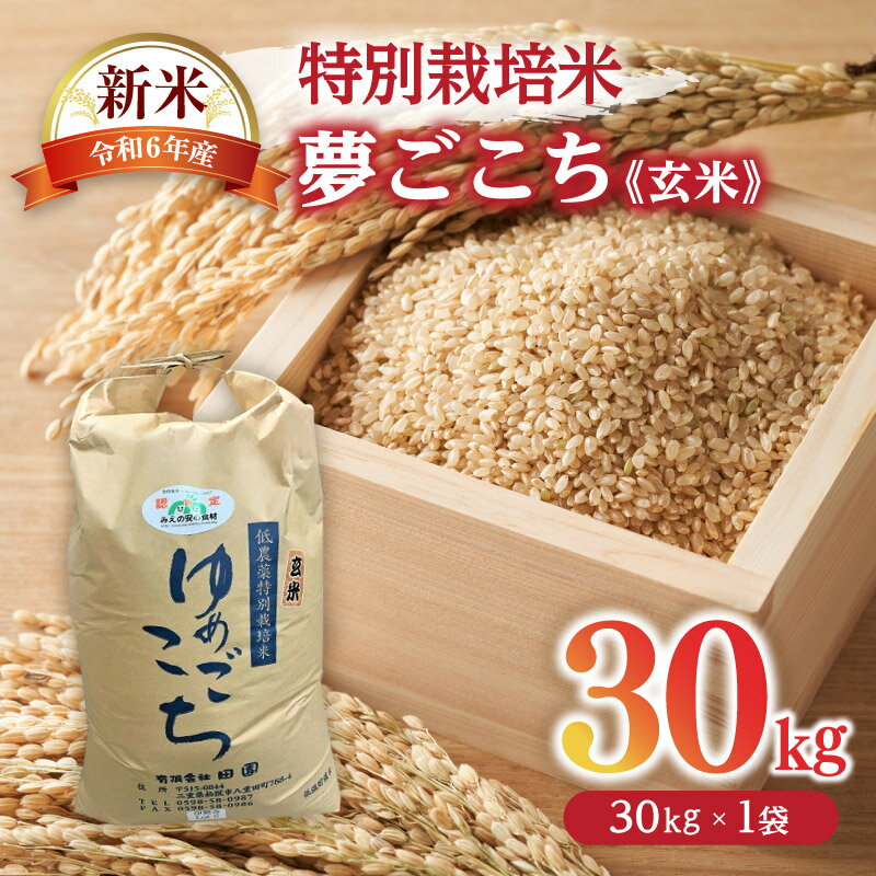 【ふるさと納税】夢ごこち（特別栽培米）玄米 30kg（新米予