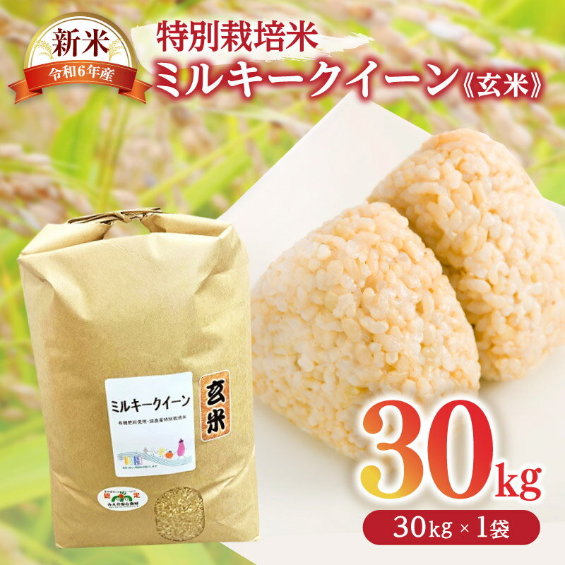 【ふるさと納税】ミルキークイーン（特別栽培米）玄米 30kg