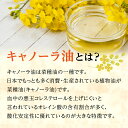 三重県松阪市の画像2