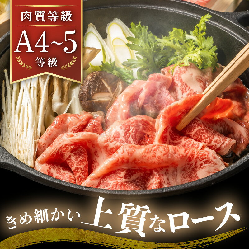 【ふるさと納税】A5ランク松阪牛 贅沢ロース 切り落とし 極 (ロース 牛肉 ブランド牛 高級 和牛 国産牛 松阪牛 松坂牛 切り落とし 切りおとし 牛肉 すき焼き用 霜降り 人気 おすすめ 1kg 大容量 三重県 松阪市 神戸牛 近江牛 に並ぶ 日本三大和牛)【長太屋】