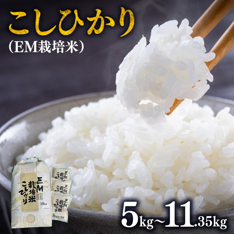 こしひかり(EM栽培米) コシヒカリ 令和四年産 5kg～11.35kg 三重県産 米 精米 ふっくら もちもち EM農法 有機栽培