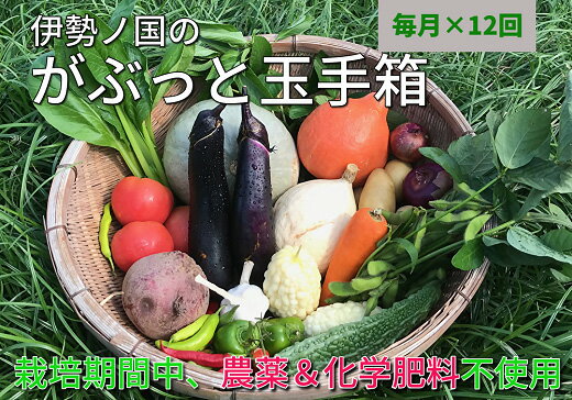 【ふるさと納税】伊勢ノ国のがぶっと野菜玉手箱 : 月1回定期便(大人4人1週間分)12回