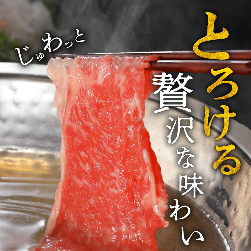 【ふるさと納税】松阪牛 特選ロース しゃぶしゃぶ用 300g/500g 極上の柔らかさ 化粧箱入り