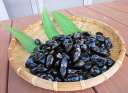 【ふるさと納税】 丸元水産 桑名産蜆(シジミ)3kg※冷凍発送