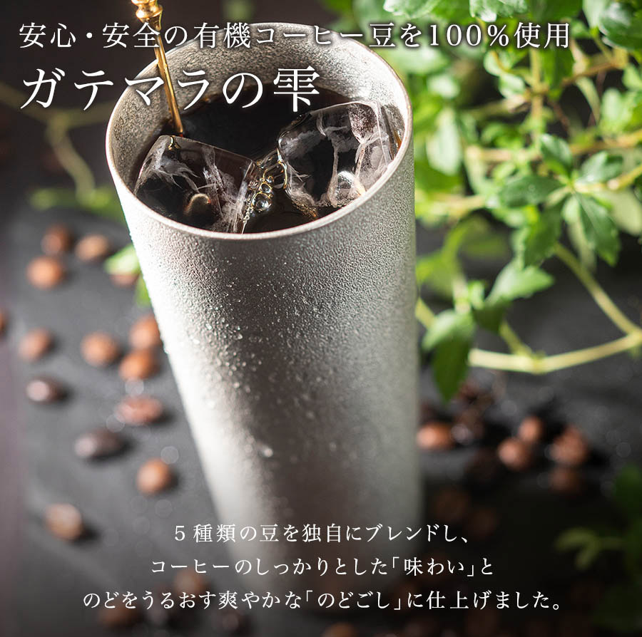 【ふるさと納税】 ホリ珈琲　「ガテマラの雫」アイスリキッドコーヒー1000ml×6本セット 2