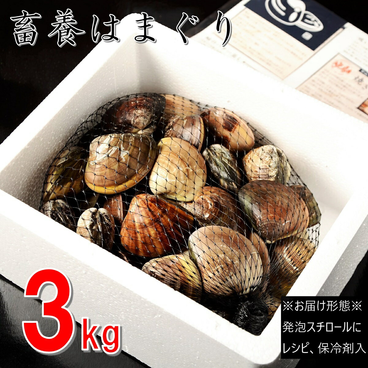 【ふるさと納税】 桑名はまぐり屋　蓄養はまぐり　3年～6年もの　3kg_蛤　ハマグリ　魚介　貝