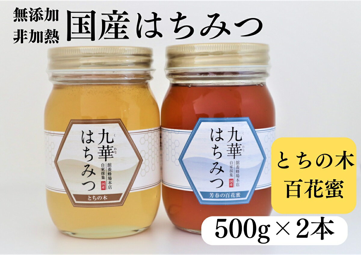 舘養蜂場本店 国産はちみつ500g×2本セット