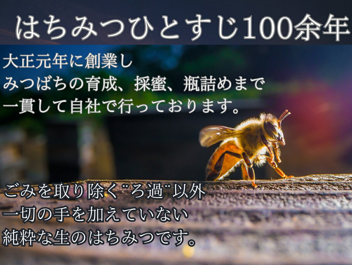 【ふるさと納税】 舘養蜂場本店　九華はちみつ大容量セット420g×6本