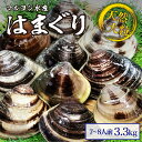 【ふるさと納税】 マルヨシ水産 桑名産大粒天然蛤 3.3kg_はまぐり ハマグリ 魚介 貝