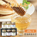 【ふるさと納税】 舘養蜂場本店 九華はちみつ 130g×6本