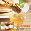 【ふるさと納税】 舘養蜂場本店 九華はちみつ 300g×3本