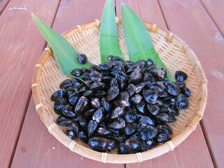 丸元水産 桑名産蜆(シジミ)7.2kg(大)