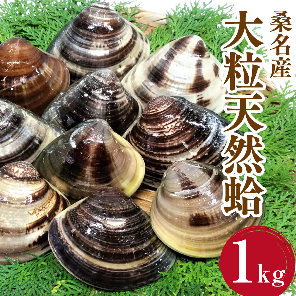 [指定日必須]マルヨシ水産 桑名産大粒天然蛤 1kg_はまぐり ハマグリ 魚介 貝 17000円 1万7000円