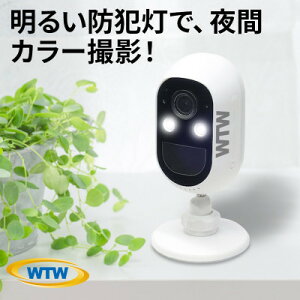 【ふるさと納税】ちび太防犯灯 監視・防犯カメラ 屋外 ワイヤレス バッテリー内蔵 WTW-EGW1724W【1407295】