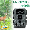 【ふるさと納税】トレイルカメラ 4600万画素 AP接続 監視 防犯カメラ 乾電池 電源不要 WTW-TC32AP【1412161】