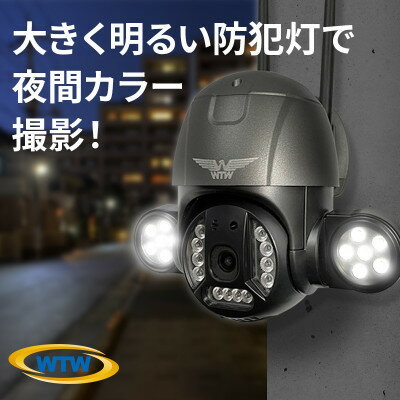 監視・防犯カメラ 屋外 家庭用 夜間フルカラー ゴマちゃん防犯灯 WTW-E1856GBX【1414039】