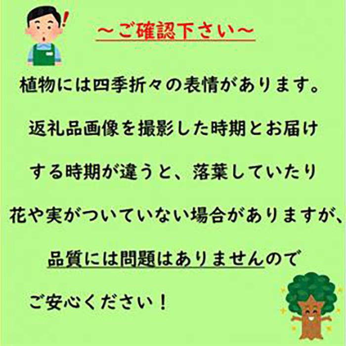 三重県鈴鹿市の画像3