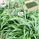 【ふるさと納税】三重県鈴鹿市産 玉竜(タマリュウ)マットタイプ5枚
