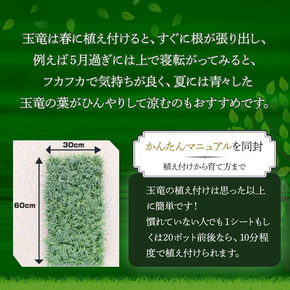 【ふるさと納税】三重県鈴鹿市産 玉竜（タマリュウ）マットタイプ5枚