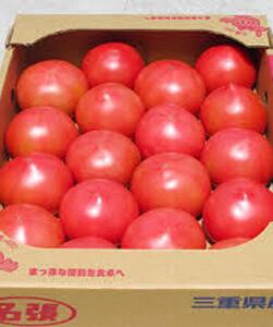 【ふるさと納税】名張産　桃太郎トマトのサムネイル