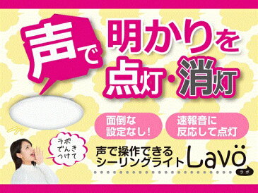 【ふるさと納税】音声操作シーリングライト「GOX80135」
