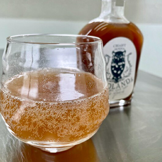 【ふるさと納税】無添加クラフトコーラシロップコーラスカッシュ200g手作り