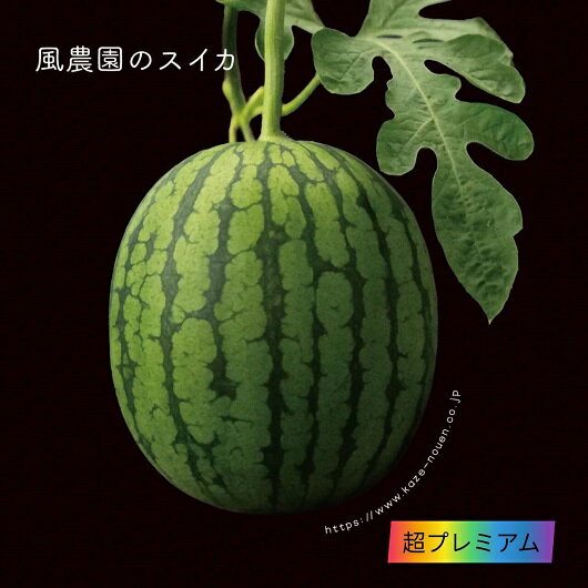 フルーツ・果物(スイカ)人気ランク22位　口コミ数「0件」評価「0」「【ふるさと納税】風農園のスイカ、春。　超プレミアム」