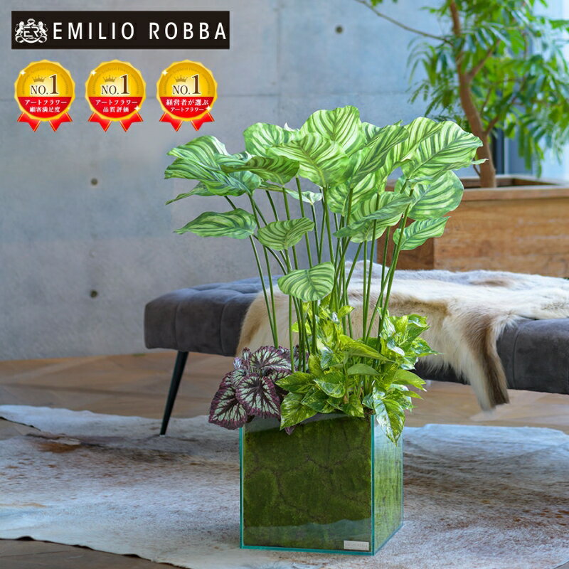 【ふるさと納税】アートフラワー エミリオ・ロバ ギャザリングカラテア TTTTA06800