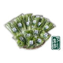 【ふるさと納税】アグリー農園水耕栽培おまかせお野菜セット