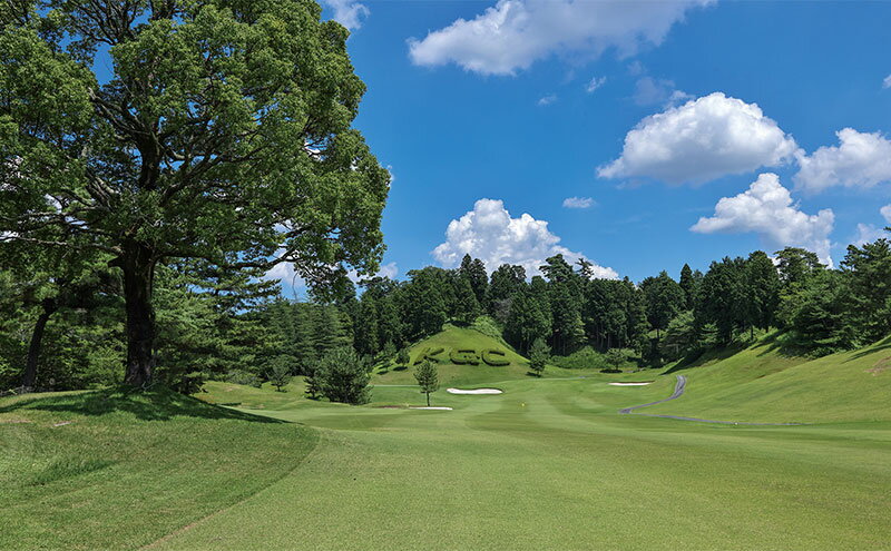 【ふるさと納税】桔梗が丘ゴルフコース 土日祝 1名様 プレー券