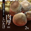 【ふるさと納税】赤目滝清流で栽培した肉厚しいたけ(菌床)2kg 椎茸 三重県産 お届け:2026年3月末まで