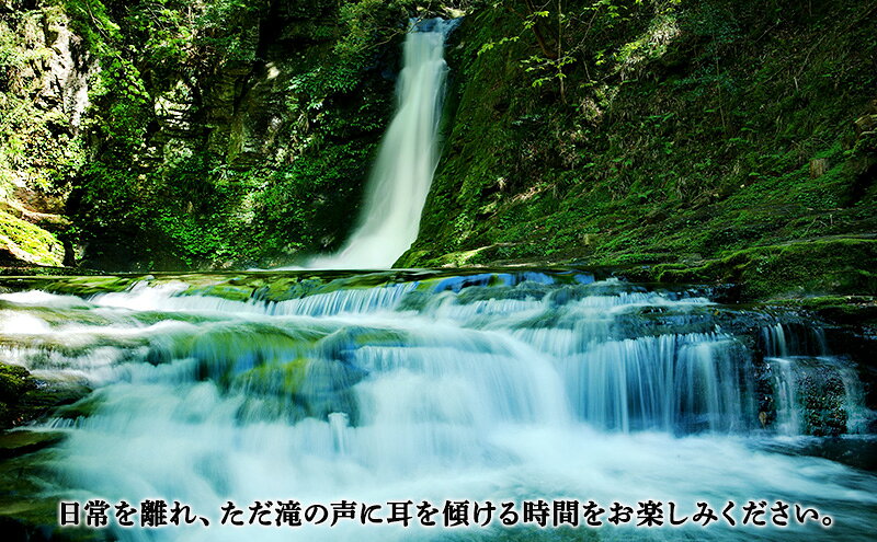 【ふるさと納税】【光と水の幻想体験】赤目四十八滝招待券（2名様）| チケット 券 お出かけ 体験 f242080-nabari-10001402 三重県名張市 サンプル画像2