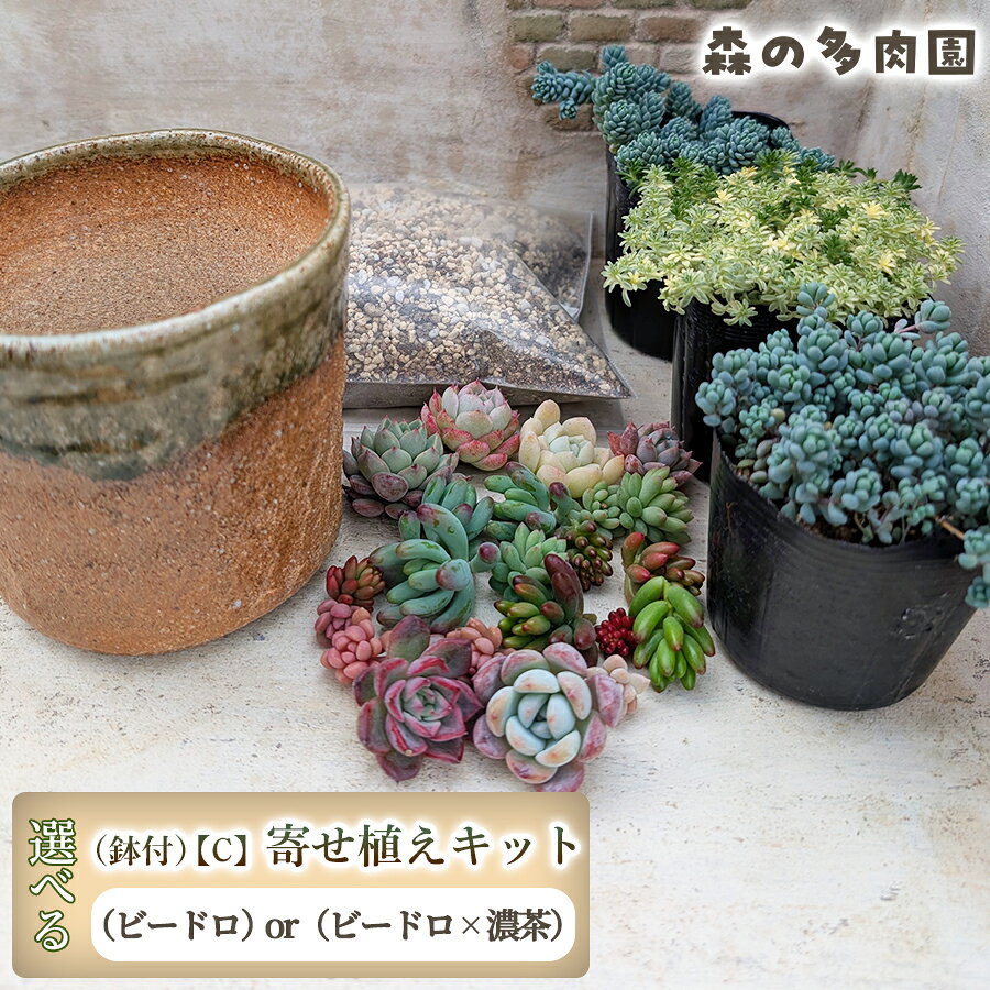 【ふるさと納税】【届いてすぐ楽しめる！】多肉を育ててみたい方へのセット商品寄せ植えキット（鉢付）【C】 ・苗・土・伊賀焼オリジナル陶器鉢3.5号 1セット 多肉植物 家庭菜園 伊賀焼 陶器鉢 土 苗 初心者 簡単 色鮮やか 三重県 名張市