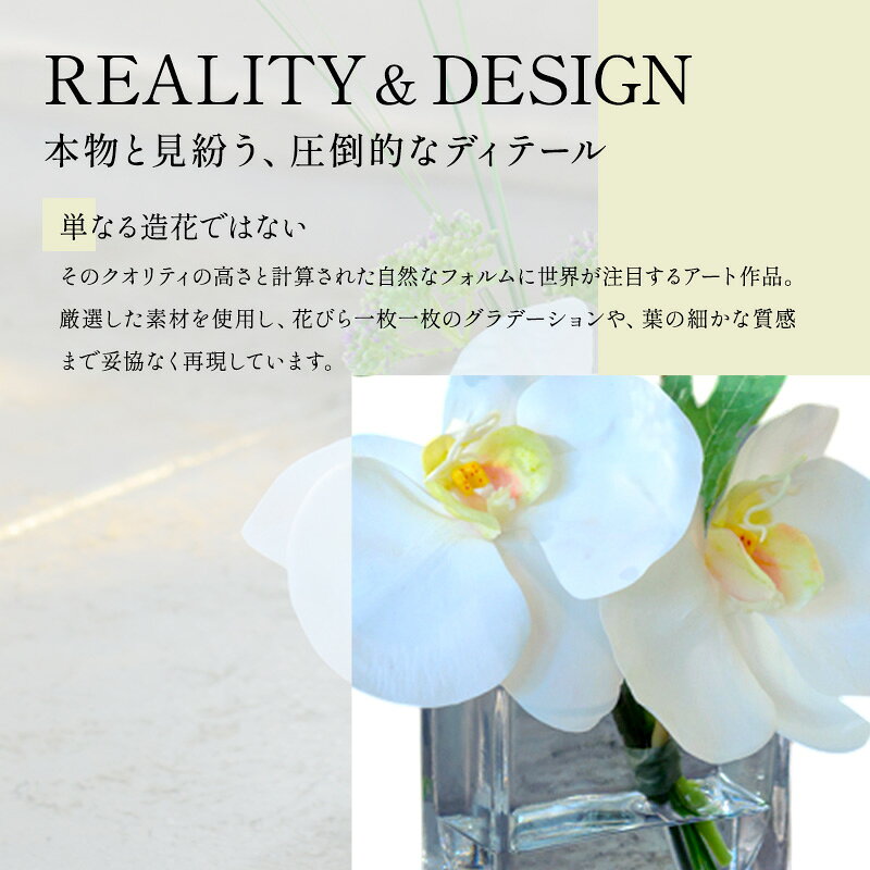 【ふるさと納税】エミリオロバ　仏花対セットC　ファレノプシスXS 2個セット