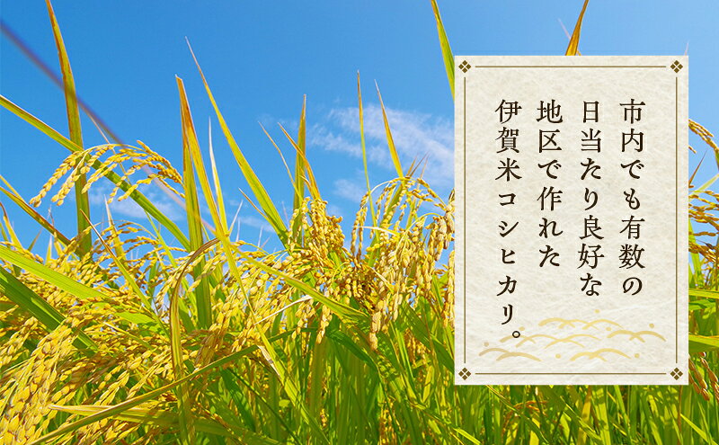 【ふるさと納税】売切御免！専業農家の令和7年産　伊賀米コシヒカリ2kg 三重県 名張市 特A 白米 精米 産直 農家 ご飯 ごはん 新米 百笑農園 こしひかり 令和7年 農家直送 産地直送 国産米 おにぎり 炊飯 おいしい 甘い 三重 清流 f242080-nabari-10001665 三重県名張市 サンプル画像3