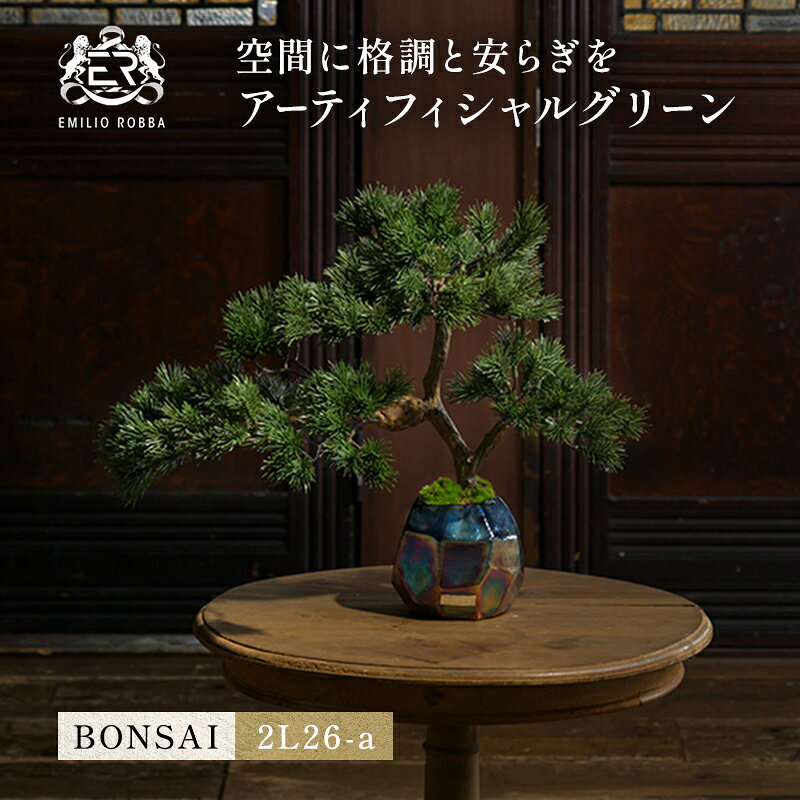 【ふるさと納税】BONSAI 2L26-a TUTGA-80300