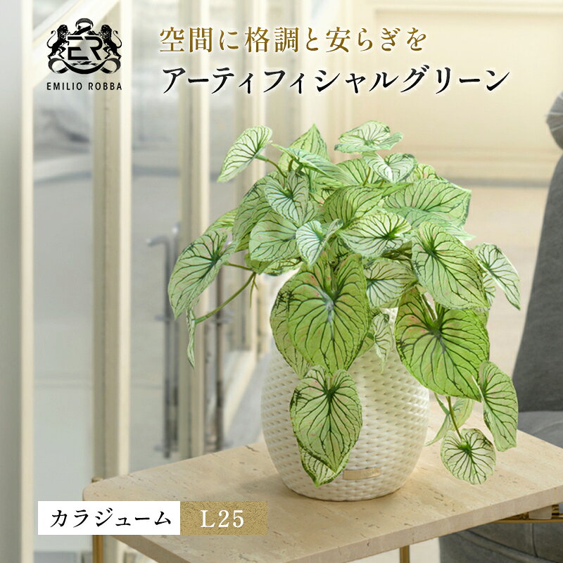 【ふるさと納税】カラジュームL25 TUTEB-37200