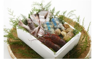 【ふるさと納税】 漁師鍋水炊きセット 鍋セット 高級魚 新鮮 人気 ランキング おすすめ ギフト プレゼント 天然 真鯛 鯛 たい 伊勢えび イセエビ 海老 エ...