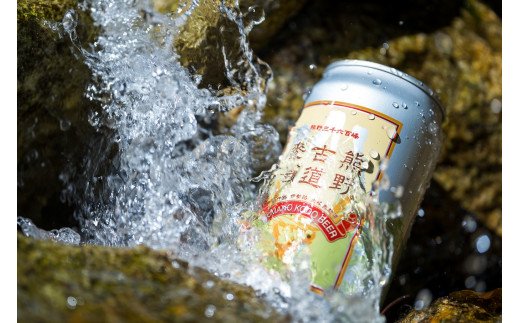 【ふるさと納税】 熊野古道麦酒（クラフトビール） 350ml × 24本セット　AL-11
