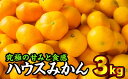 II-10 三重県産 ハウスみかん(温州みかん) 3kg