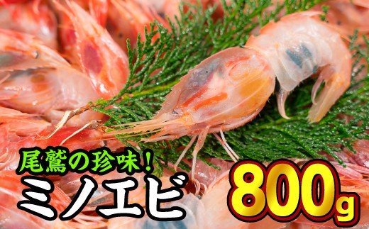 【ふるさと納税】珍味!オニエビ(ミノエビ) 800gセット 天然 鮮度抜群 漁船直送 海の上で食べる味 直送 海老 えび エビ 殻付き 有頭 生食 刺身 冷蔵 魚介類 魚貝類 海産物 おかず 産地直送 三重県産 尾鷲市 国産 人気 HA-60