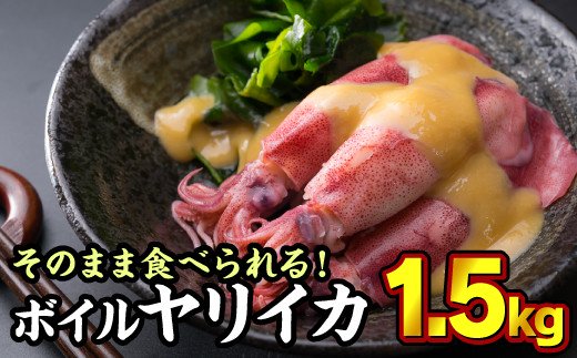 2位! 口コミ数「3件」評価「5」ボイルヤリイカ 約1.5kg（300g × 5袋）セット（到着日時指定必須商品） 小分け 三重県尾鷲市 人気 大満足 返礼品 MT-9