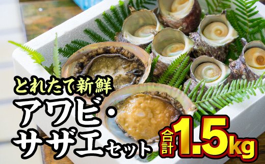 尾鷲産 活アワビ・活サザエセット 1.5kg