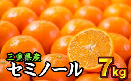 三重県産 セミノールオレンジ 7kg