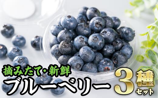 3種の手摘みブルーベリー食べ比べ （100g × 3パック)＜お試し商品＞ MN-f-9