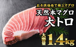 【ふるさと納税】天然本マグロ 大トロ 　大満足1.4kg　CH-71