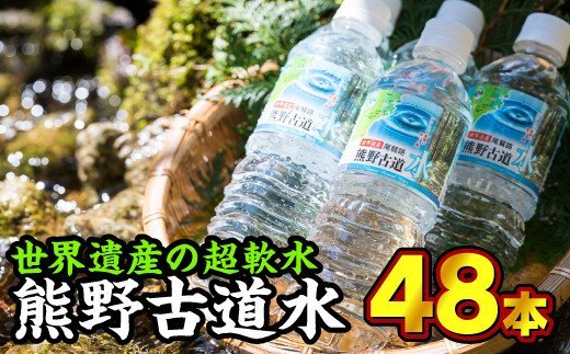 【ふるさと納税】 尾鷲路 熊野古道水 500ml × 48本