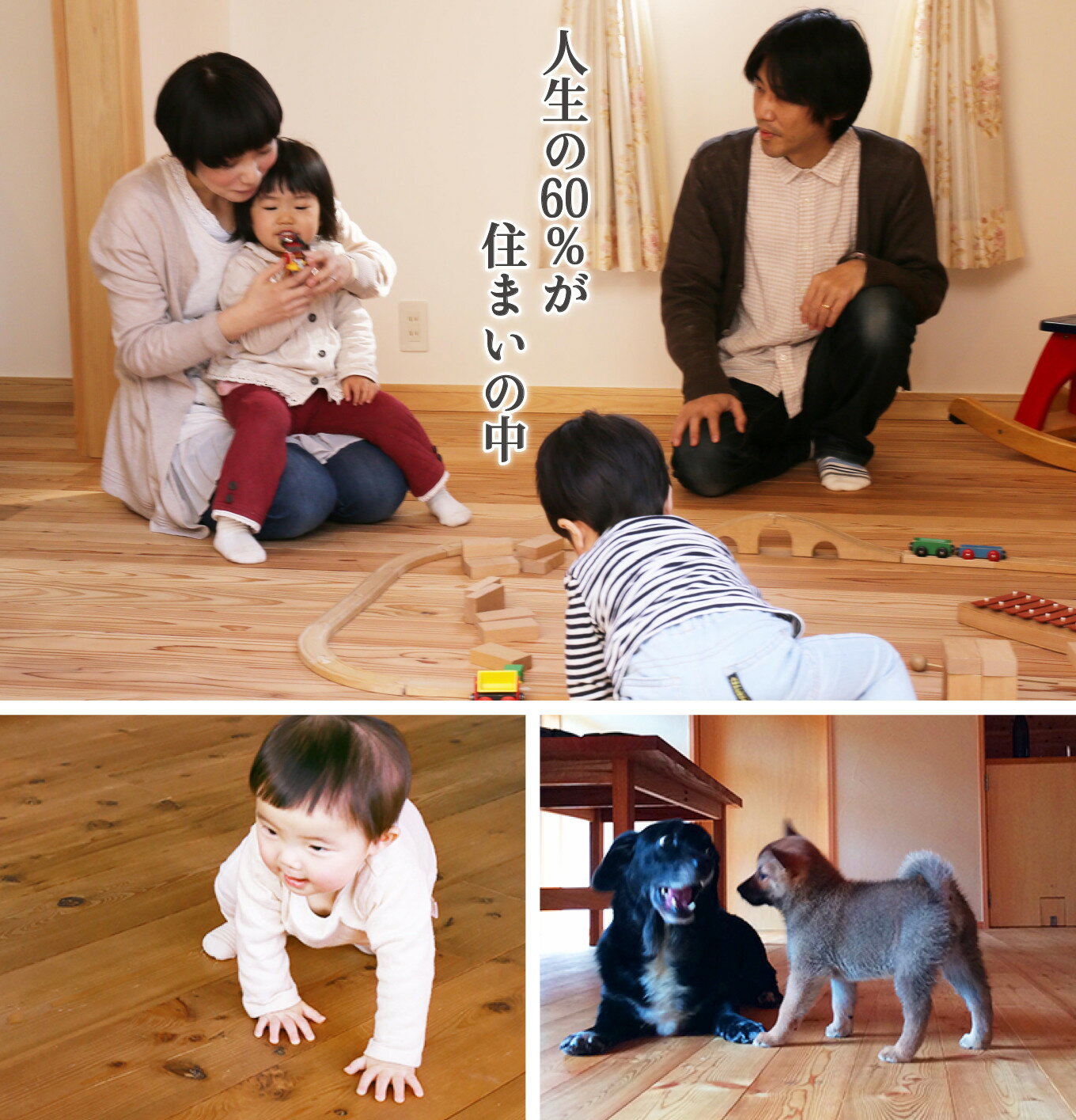 三重県尾鷲市の画像3