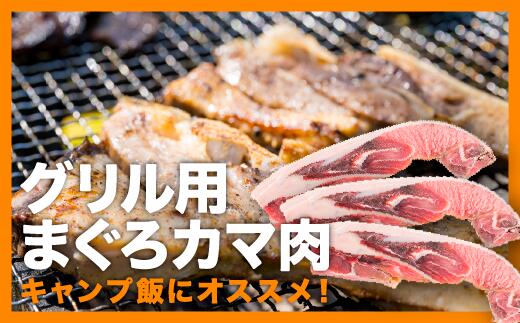 【ふるさと納税】グリル用まぐろカマ肉 3切れセット <お試し商品> ふっくら ジューシー 抜群 脂乗り 定番 塩焼き 煮つけ おすすめ まぐろ 鮪 マグロ おつまみ BBQ バーベキュー グルメ お取り寄せ 冷凍 おかず 惣菜 冷凍食品 三重県 尾鷲市 CH-84